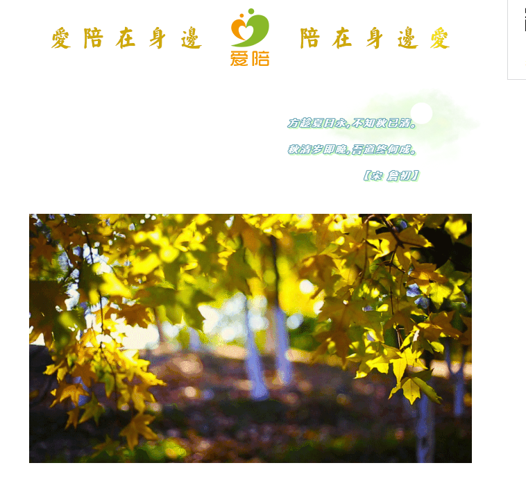 秋清歲即晚，吾道終何成？--共享陪護(hù)床為何而生